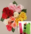 Rio Roses� 1 dozen mixed roses